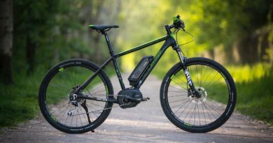 ebike vasto