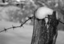 Recinto Olocausto Shoah