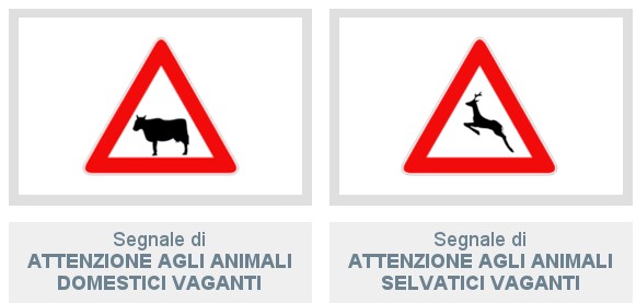 animali vaganti