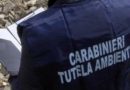 carabinieri tutela ambiente