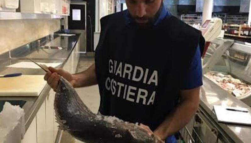 guardia costiera