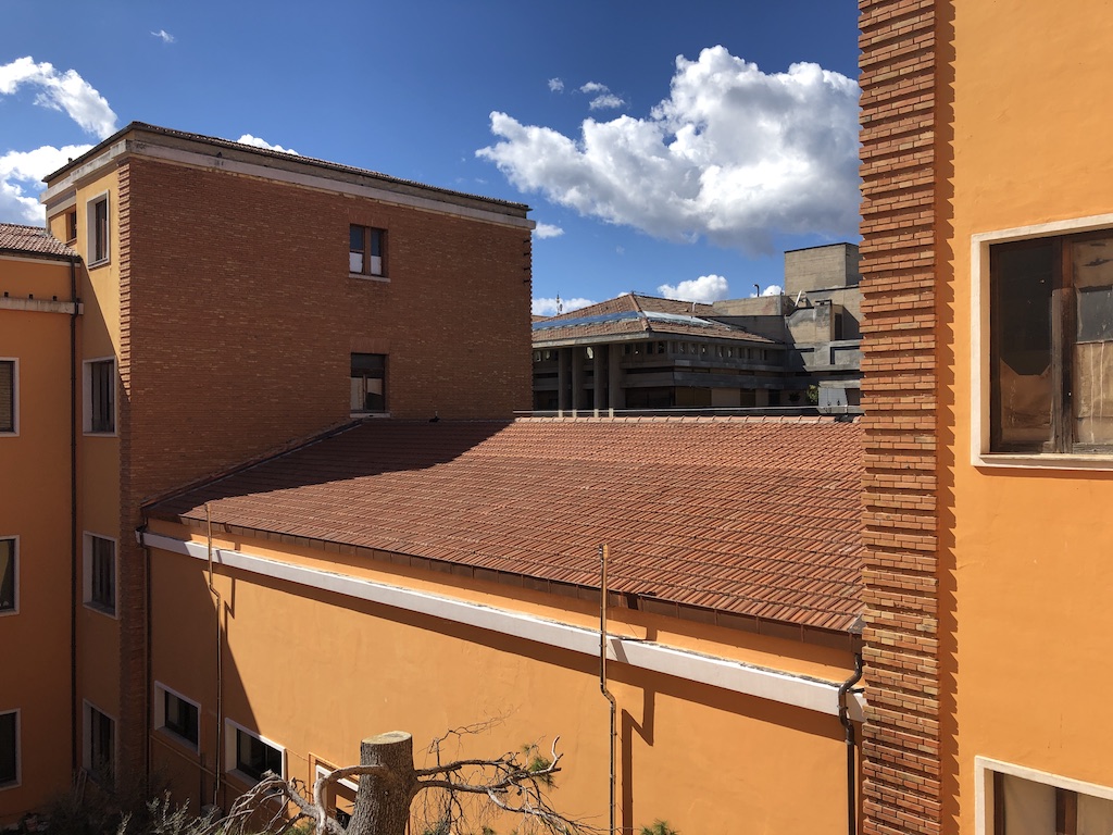milli palestra