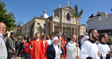 san gabriele palme