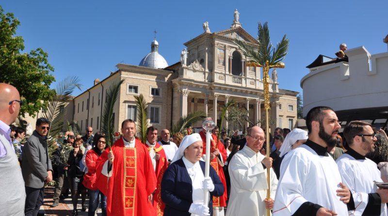 san gabriele palme