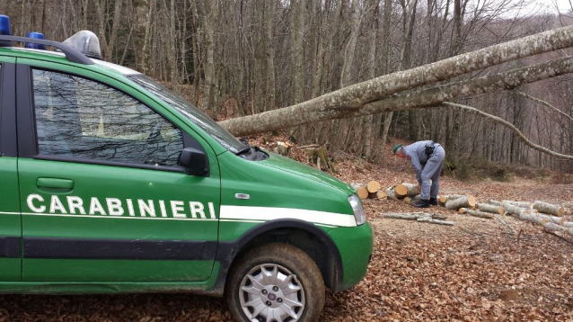 carabinieri furto legna
