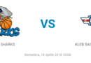 roseto ferrara basket