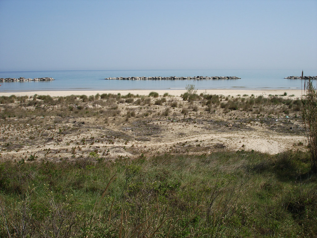 ortona