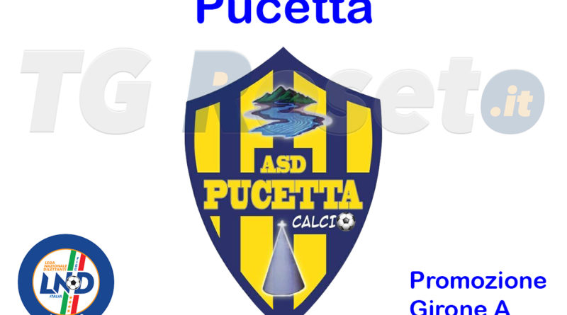 pucetta