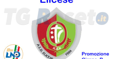 Elicese