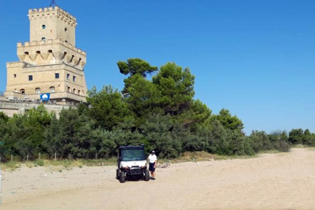 pineto spiaggia