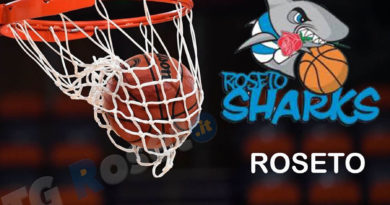 roseto sharks