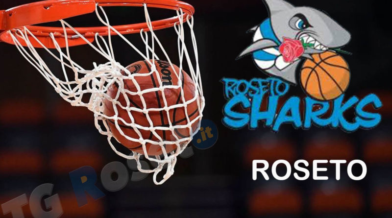 roseto sharks