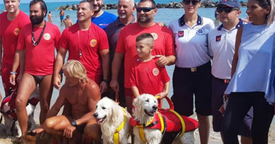 Sea Rescue Dog