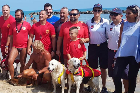 Sea Rescue Dog