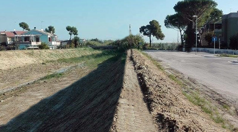 borsacchio torrente