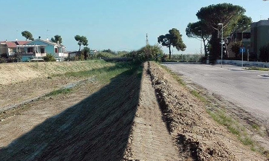 borsacchio torrente