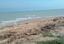 fiume vomano