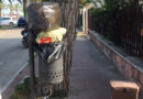 roseto rifiuti
