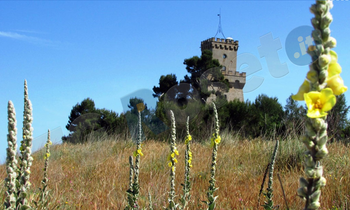 torre cerrano