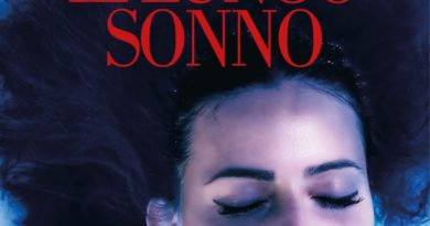 Libro Il Lungo Sonno