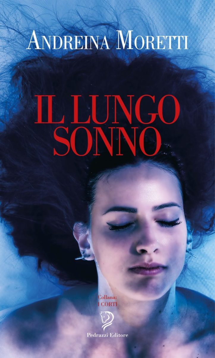 Libro Il Lungo Sonno