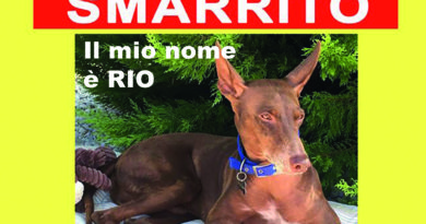 cane Rio