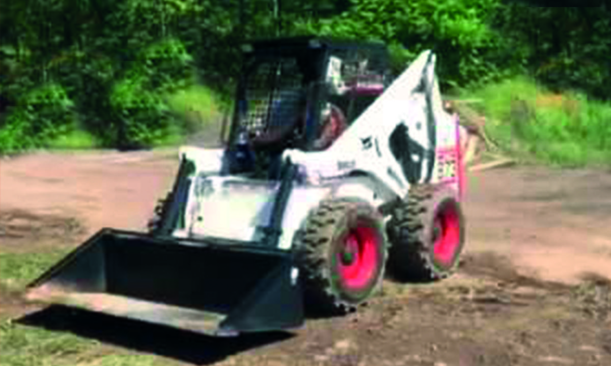 bobcat