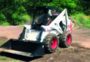 bobcat