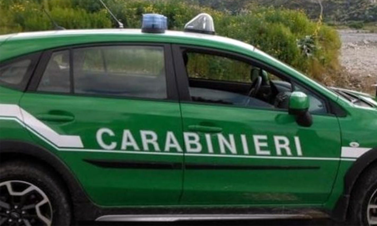 carabinieri