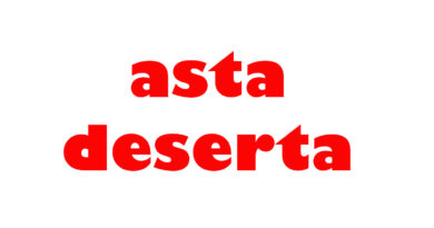 asta roseto degli abruzzi