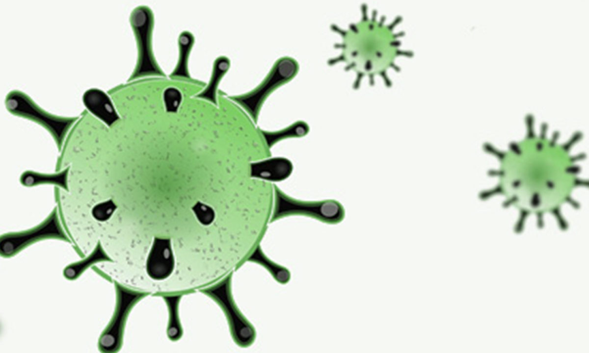 coronavirus 6