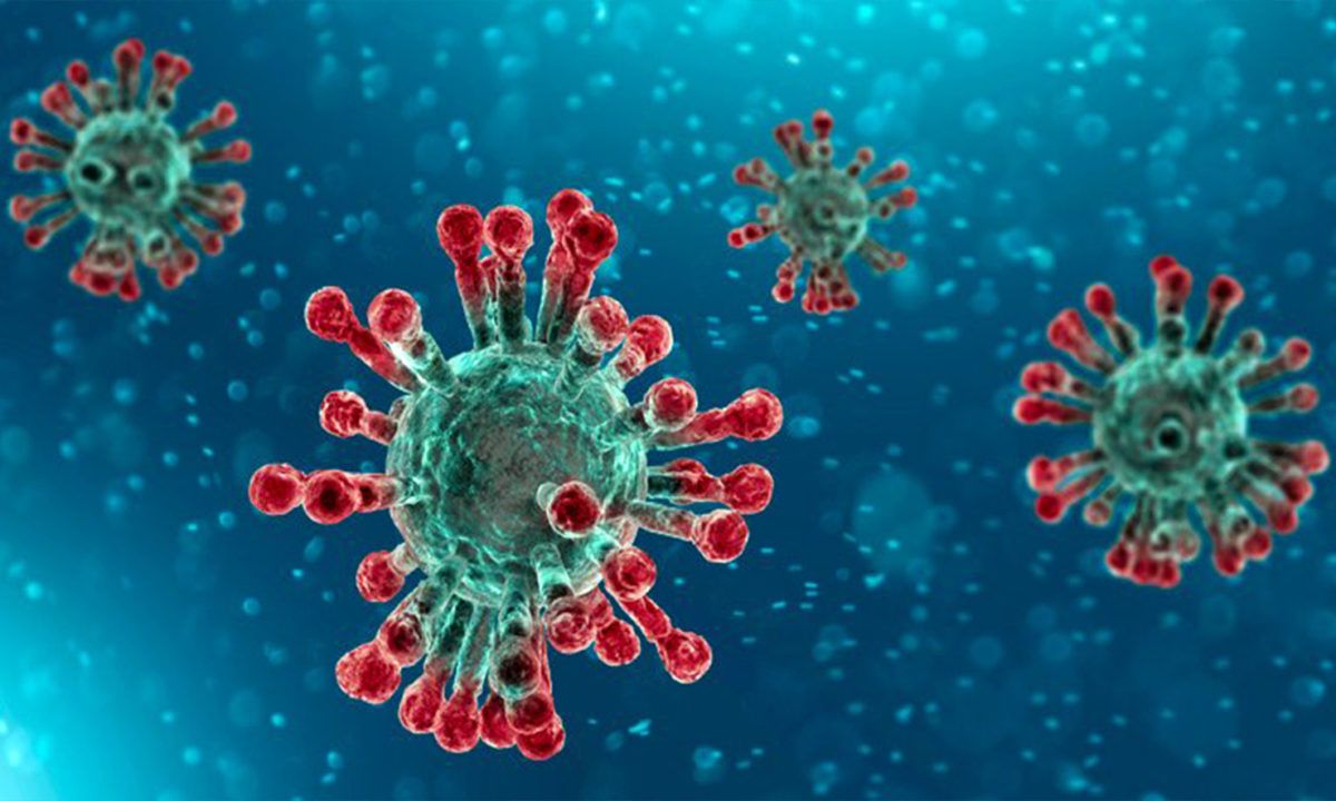 coronavirus 2