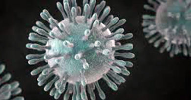 coronavirus 5