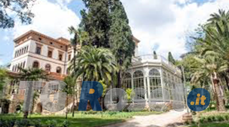 luiss roma