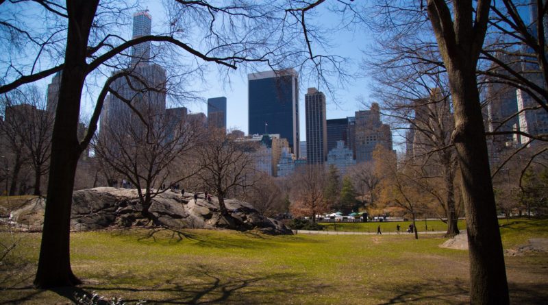 Central Park New York