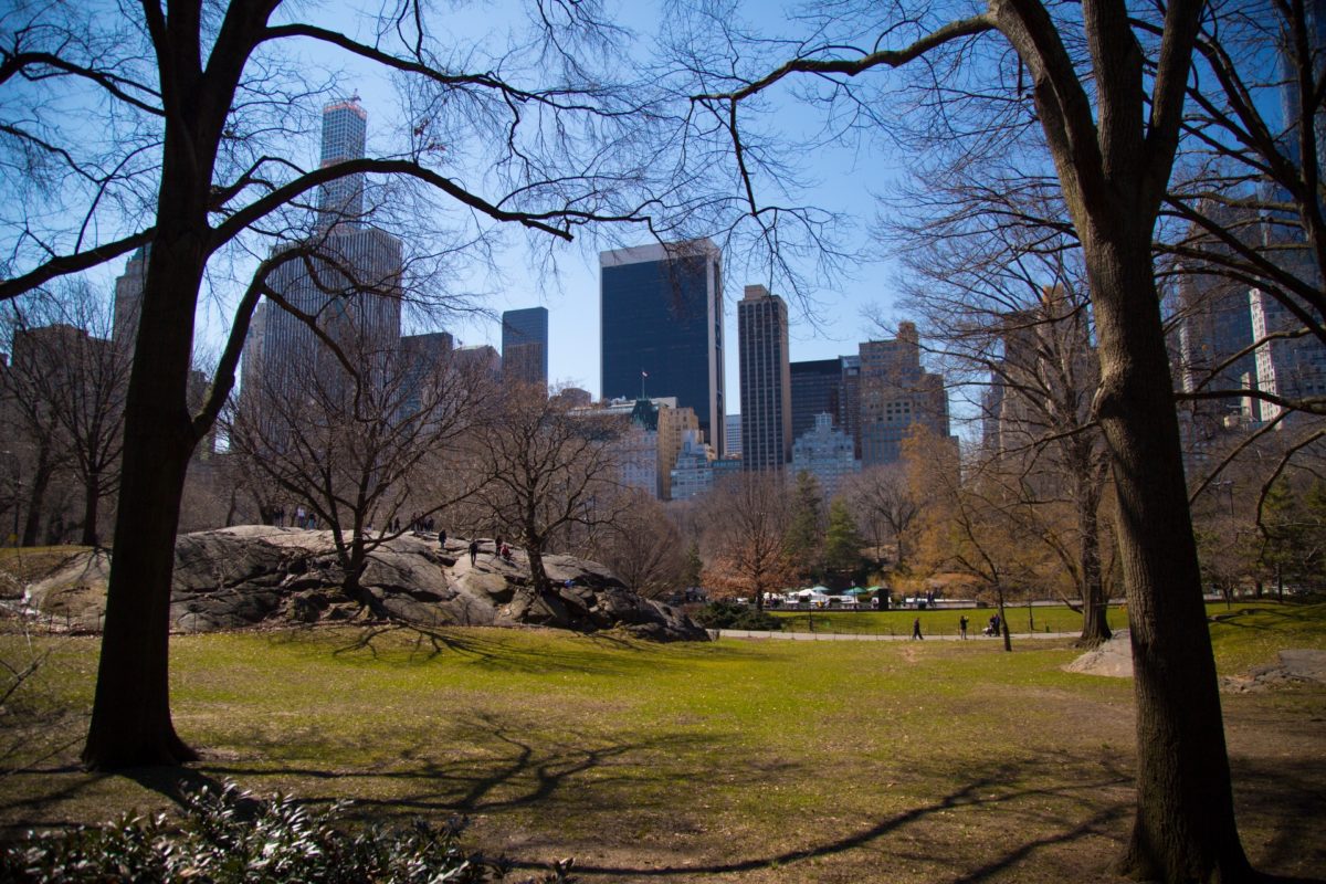 Central Park New York