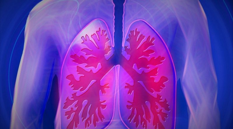 polmoni torace