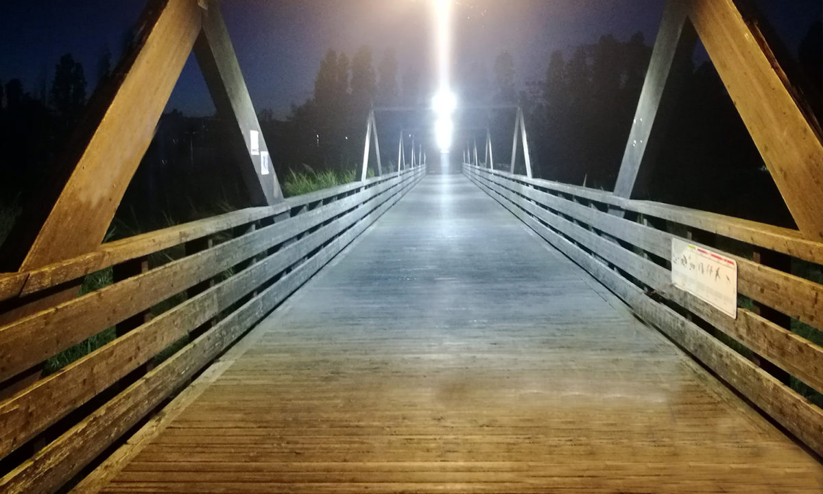ponte tordino