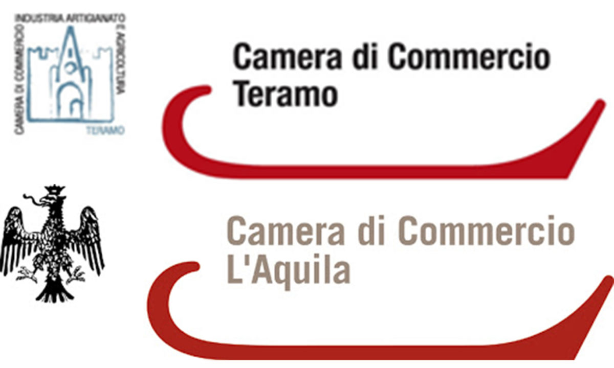 camera commercio