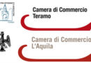 camera commercio