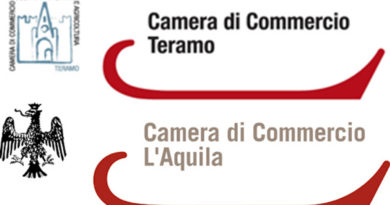 camera commercio