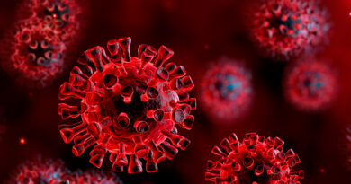 Coronavirus Zona Rossa