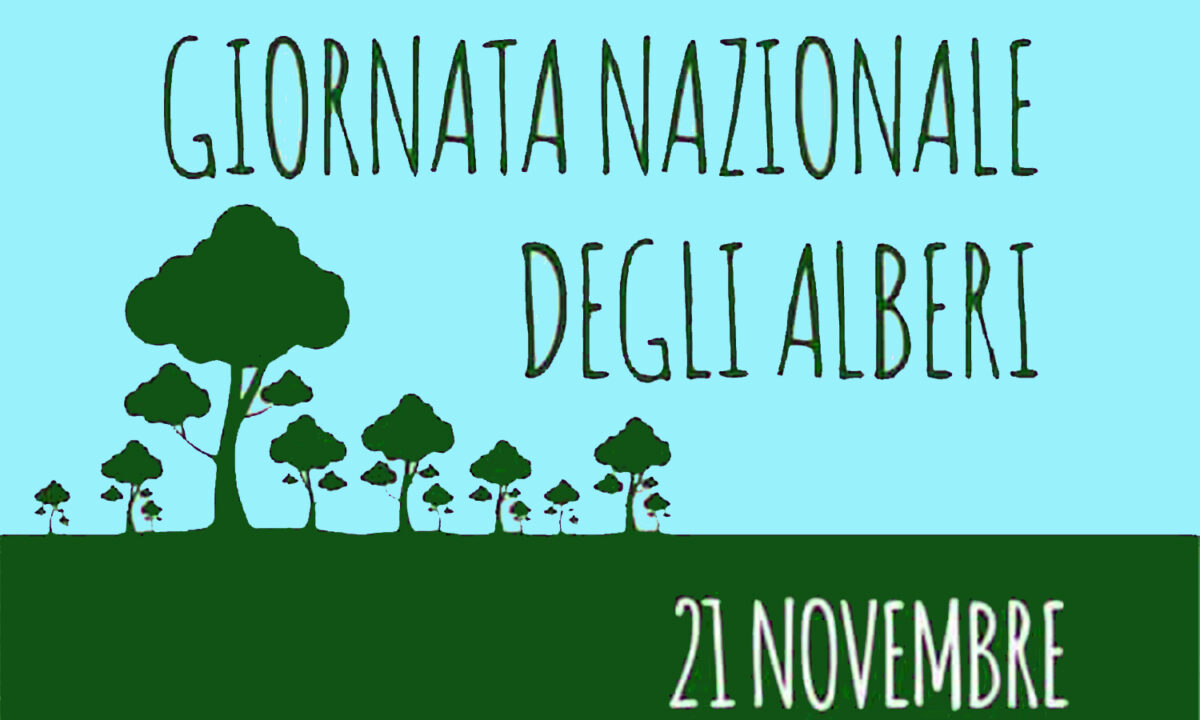 festa alberi