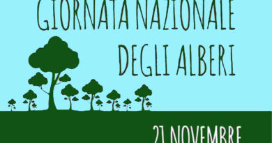 festa alberi