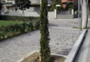 pineto