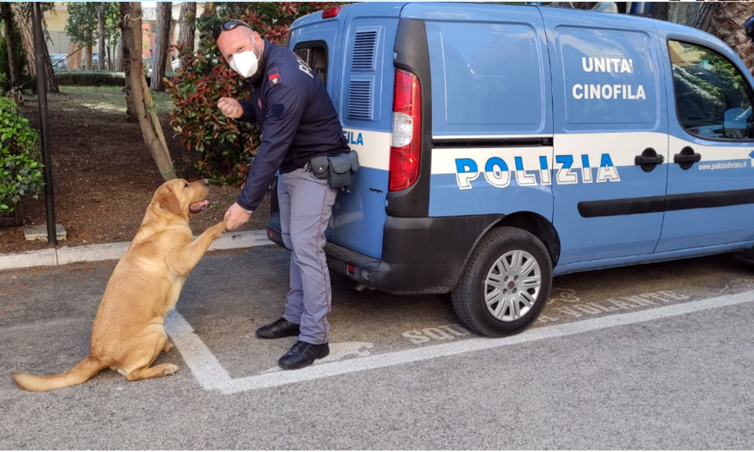 polizia cane