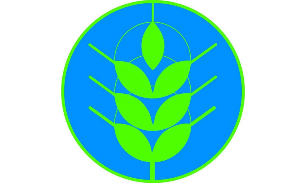 spighe verdi