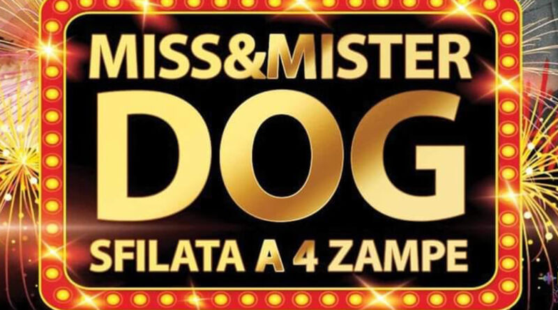 Miss e Mister Dog