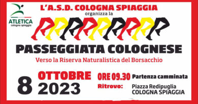 cologna spiaggia