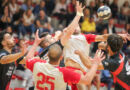 teramo lions